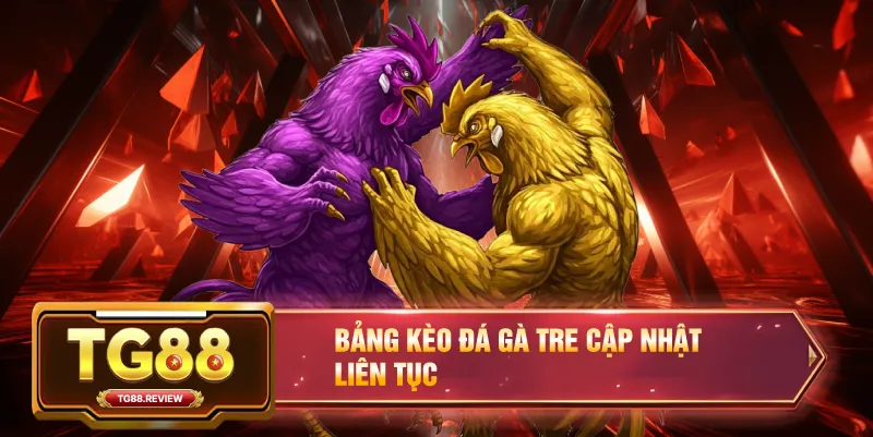 Bảng Kèo Đá Gà Tre Cập Nhật Liên Tục